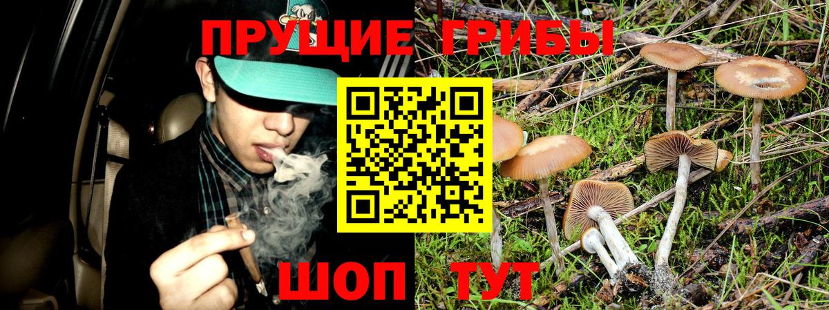 Галлюциногенные грибы GOLDEN TEACHER  Вход с VPN  Арсеньев 