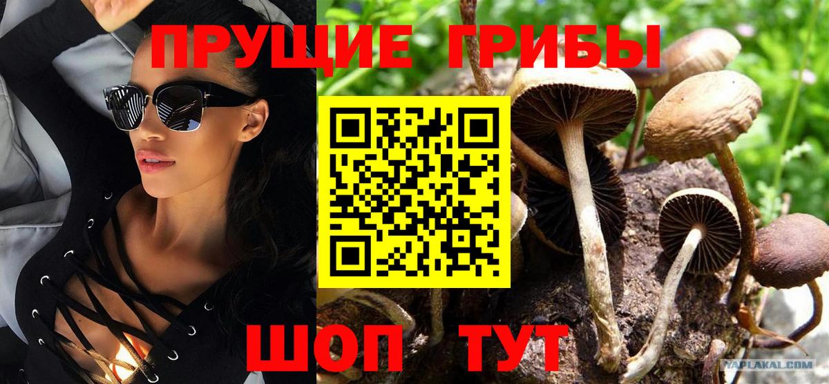 Галлюциногенные грибы прущие грибы Арсеньев