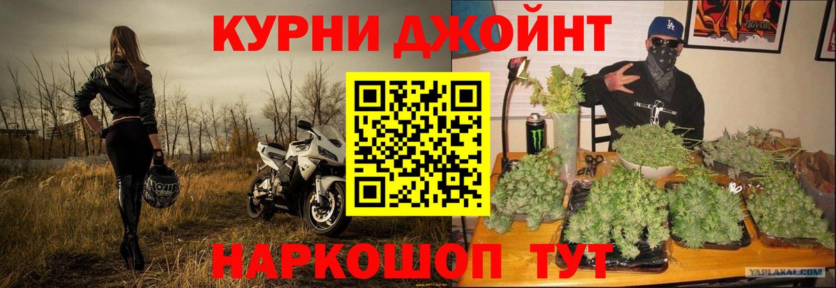 Канабис сатива Арсеньев